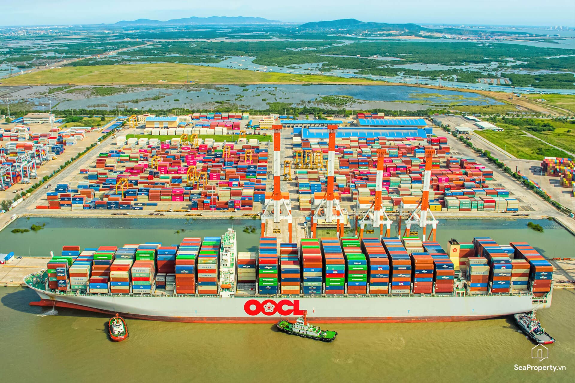 Cảng quốc tế Cái Mép (CMIT) - Image 2